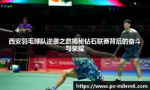 米乐m6官方网站